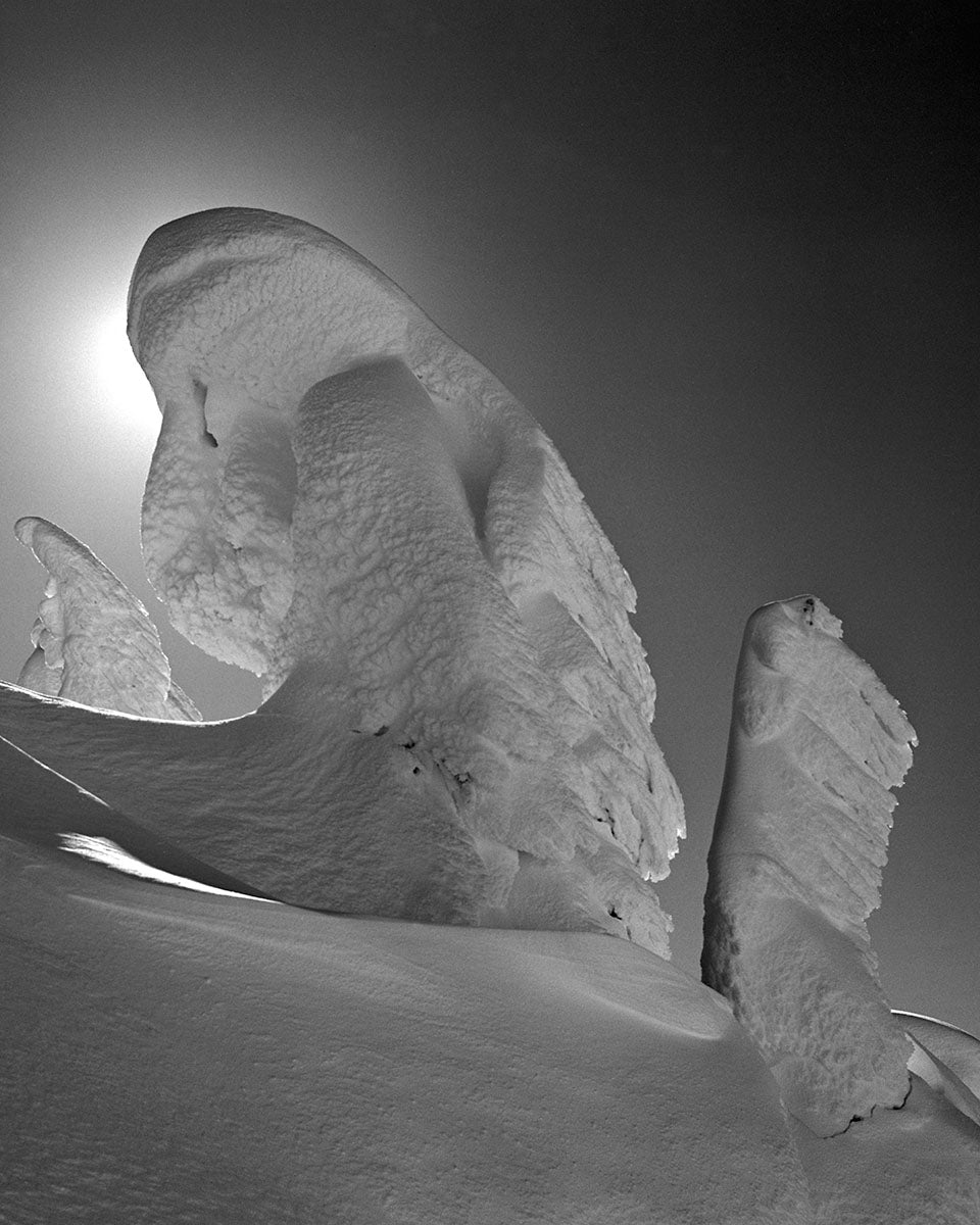4236B Snow Sculpture