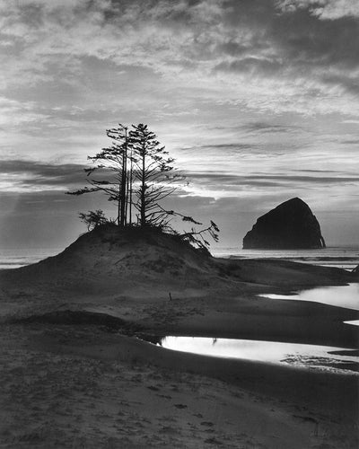 617B Haystack Rock Pacific City Oregon